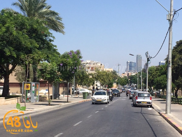 acc bike elecktrek (2).jpg